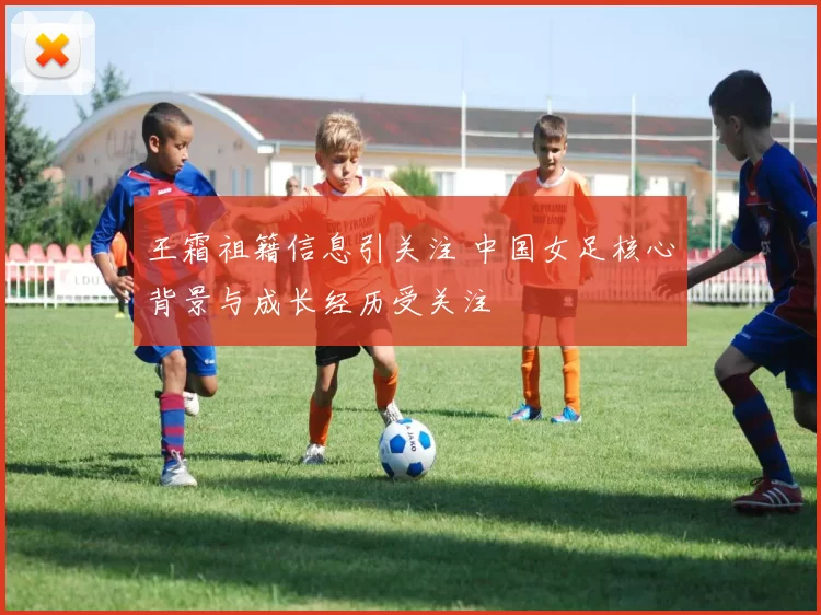 王霜祖籍信息引关注 中国女足核心背景与成长经历受关注