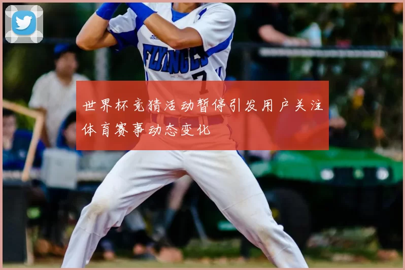 世界杯竞猜活动暂停引发用户关注体育赛事动态变化