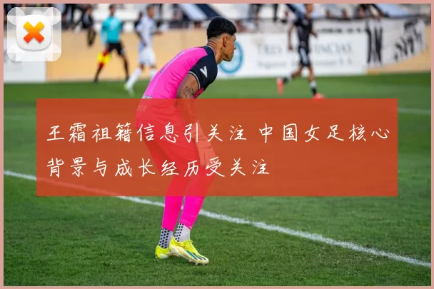 王霜祖籍信息引关注 中国女足核心背景与成长经历受关注